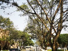 -四川大学(望江校区)