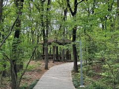 -紫金山山顶公园