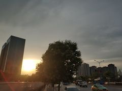 -老马家马蓉蛋菜夹馍·腊牛肉夹馍(回民街店)