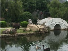 -白马涧龙池景区