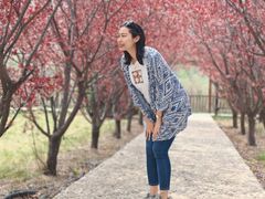 -沕沕水生态风景区