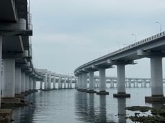 -星海湾跨海大桥