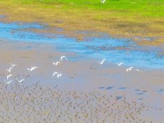 -鄱阳湖国家湿地公园