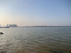 -瑶湖郊野森林公园