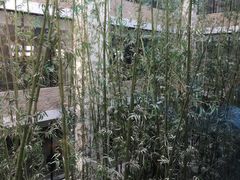 -真爱年华水疗健康运动中心(朱雀大街店)