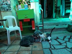 -老宅原住民沙茶面精品小吃(龙头路店)
