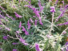 -杭州城北体育公园