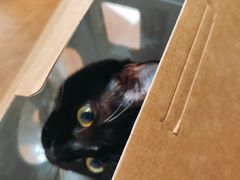 -EnergyCake蛋糕理想国