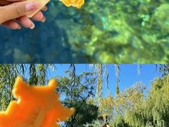 -趵突泉景区