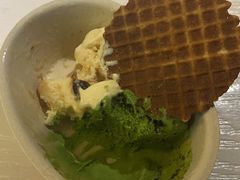 -Mint Gelato(二厂店)