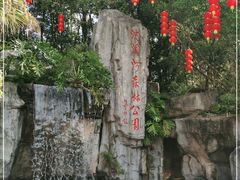 -广州市流溪河国家森林公园