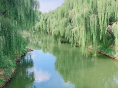 -赵州桥景区