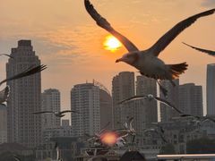 -星海广场