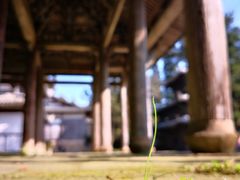 景点-云中大漈