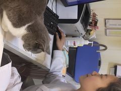 -宠爱国际动物医院· 猫科· 外科·中兽医(长白店)