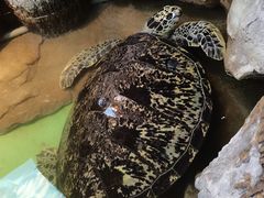 -重庆欢乐海底世界