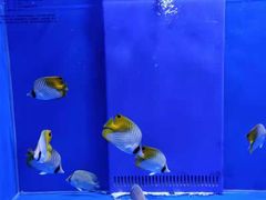 -石家庄海洋公园