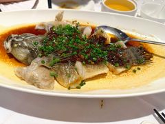 -南麓·浙里(外滩店)