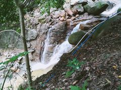 景点-火炉山森林公园