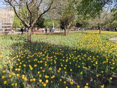 -长春公园(普阳街道)