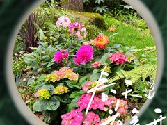 -共青国家森林公园-售票处