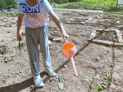 -前小桔亲子创意农场·草莓采摘·露营烧烤