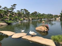 -罗红摄影艺术馆