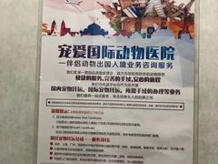-宠爱国际动物医院·疑难骨科·心肾内科·皮肤科(太阳宫店)