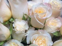 -拾花记花艺·求婚·订婚·生日布置(高新店)