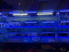 -泰谷酒店·太古码头闽菜自助餐厅