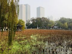 -包公祠