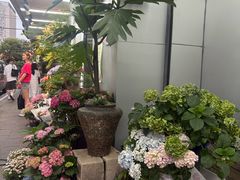 -溪岸路花鸟市场