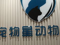 -宠物星动物医院·眼科·异宠·猫科(江南大道总院)