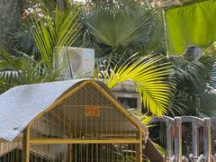 -BIGHEAD大头家咖啡馆(蛇口店)