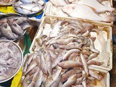 -大连熟食品交易中心