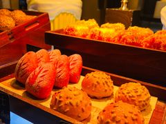 -广州奥园喜来登酒店