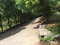 -安飞驰驾校·学车连锁(金高店)