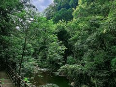 -广州市石门国家森林公园