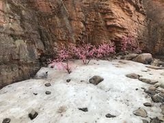 -湖洞水自然风景区