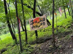 -帽儿山风景区