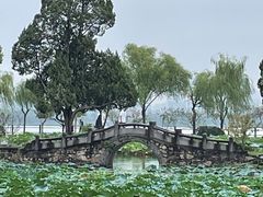 -无锡蠡湖国家湿地公园-蠡园