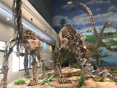 -自贡恐龙博物馆