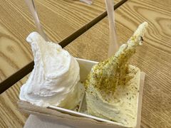 -野人先生Gelato(上海长宁龙之梦店)