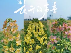 -中国天府农业博览园