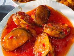 -清真•蜀风园(丁字沽店)