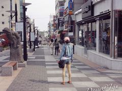 宝健路-宝健路步行街(Pedestrian Shopping Street)