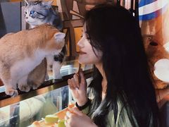 -咖法森林·咖啡  酒吧(天河店)