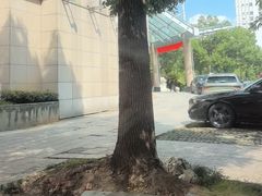 -新荣记(椒江店)