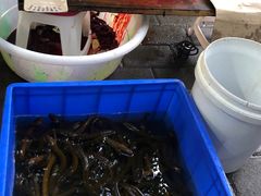 -铜元老码头鳝鱼火锅