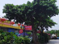 -东晓胜汇里(南洲北路店)